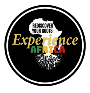 Experience Africa Ticket
